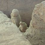 A la rencontre de l’Armée enterrée de Qin