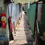 Bangkok, la fourmilière au soleil