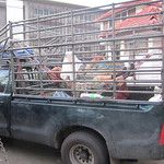 Bangkok, la fourmilière au soleil