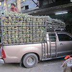 Bangkok, la fourmilière au soleil