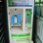 Bangkok, la fourmilière au soleil