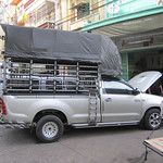 Bangkok, la fourmilière au soleil