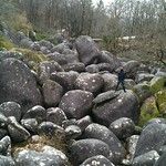 Castres et la gastronomie toulousaine