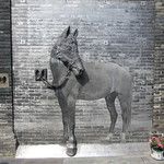 Chengdu, capitale du Sichuan et des maisons de thé