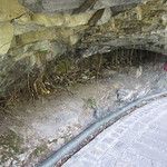 Dali, entre lac et montagnes