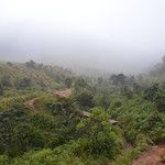 Sri Lanka - Horton plains