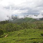 Sri Lanka - Lipton's Seat