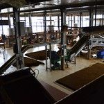 Sri Lanka - Lipton's Seat