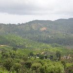 Sri Lanka - Haputale