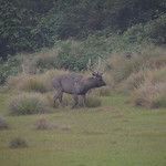 Sri Lanka - Horton plains
