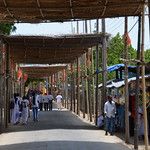 Sri Lanka - Jaffna - Les îles