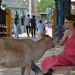 Sri Lanka - Jaffna - Les îles