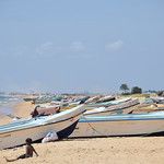 Sri Lanka - Jaffna - Régions