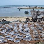 Sri Lanka - Jaffna - Régions