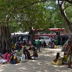 Sri Lanka - Jaffna - Régions