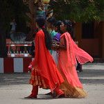 Sri Lanka - Jaffna - Les îles