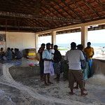 Sri Lanka - Jaffna - Régions