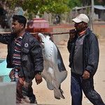 Sri Lanka - Jaffna - Régions