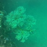 Koh Phi Phi, l'île aux couleurs paradisiaques !