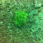 Koh Phi Phi, l'île aux couleurs paradisiaques !