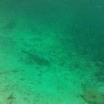 Koh Phi Phi, l'île aux couleurs paradisiaques !