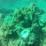 Koh Phi Phi, l'île aux couleurs paradisiaques !