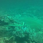 Koh Phi Phi, l'île aux couleurs paradisiaques !