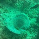 Koh Phi Phi, l'île aux couleurs paradisiaques !