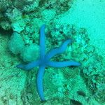 Koh Phi Phi, l'île aux couleurs paradisiaques !