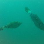 Koh Phi Phi, l'île aux couleurs paradisiaques !