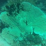 Koh Phi Phi, l'île aux couleurs paradisiaques !