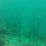 Koh Phi Phi, l'île aux couleurs paradisiaques !