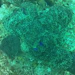 Koh Phi Phi, l'île aux couleurs paradisiaques !