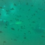 Koh Phi Phi, l'île aux couleurs paradisiaques !