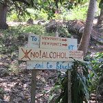 Koh Phi Phi, l'île aux couleurs paradisiaques !