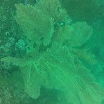 Koh Phi Phi, l'île aux couleurs paradisiaques !