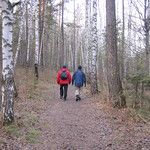 Transsibérien - Krasnoyarsk - La réserve de Stolbi