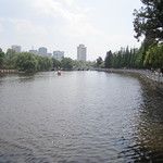 Kunming, cité de l’éternel printemps
