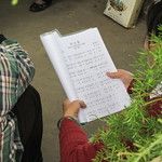 Kunming, cité de l’éternel printemps