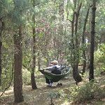 Kunming, cité de l’éternel printemps