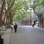 Kunming, cité de l’éternel printemps
