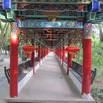 Kunming, cité de l’éternel printemps