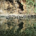 Kunming, cité de l’éternel printemps