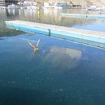 Le port de Balaklava