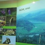 La DMZ entre les deux Corée