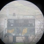 La DMZ entre les deux Corée