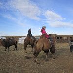 Transsibérien - Mongolie - Jour 2