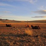 Transsibérien - Mongolie - Jour 2