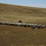 Transsibérien - Mongolie - Jour 3