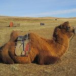 Transsibérien - Mongolie - Jour 2